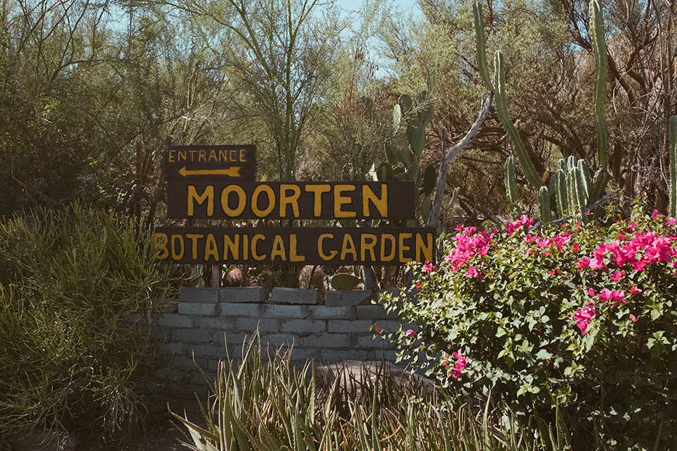 moorten botanical garden